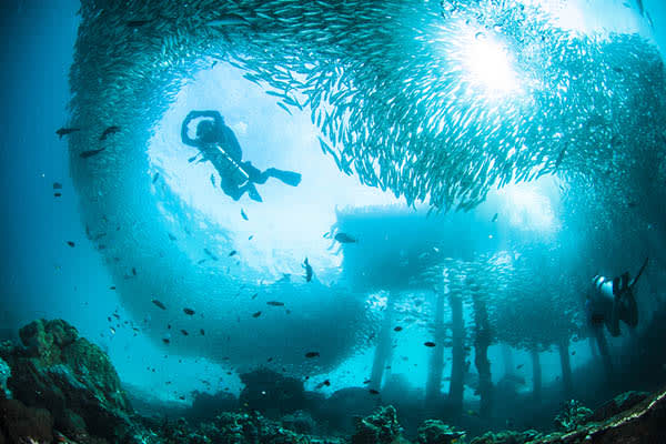 Alila Purnama - Ambon - Sorong -Day 7