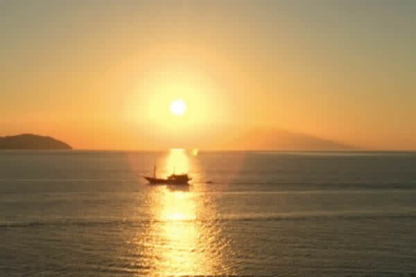 Alila Purnama - Raja Ampat (Charter Only) - Day 4