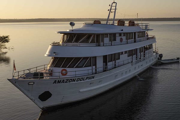Amazon Dolphin - Amazônia Essencial