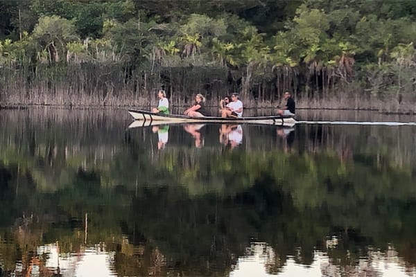 Amazon Dolphin - Deep Immersion