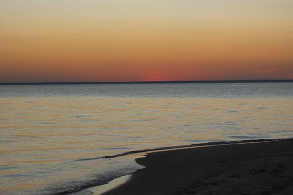 Amazon Dolphin - Deep Immersion