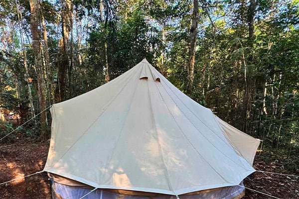 Amazon Eco Boat - Discovery Cruise