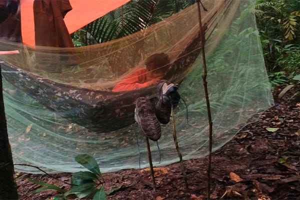 Amazon Eco Boat - Evasion Cruise