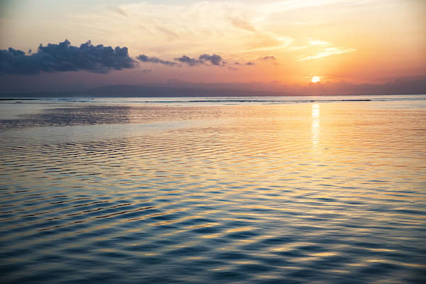 Aqua Blu - Asmat Tribe & Raja Ampat Expedition - Day 3