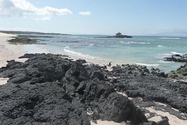 Seaman Journey’s 15-Day F2 Itinerary Day Twelve - Bachas Beach. 