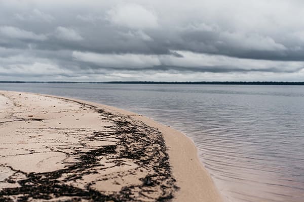 Untamed Amazon's 4-Day Tukano Cruise Day Two - Beaches of Brazil.