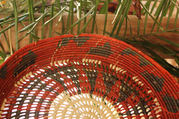 Belle Amazon - Amazônia Essencial