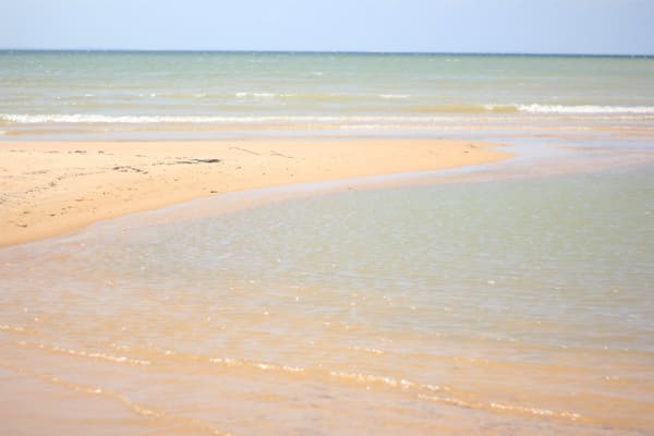 Belle Amazon - Amazônia Essencial