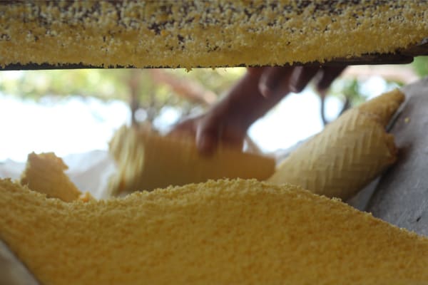 Belle Amazon - Amazônia Essencial