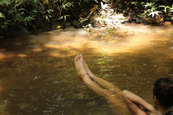 Belle Amazon - Amazonian Waters