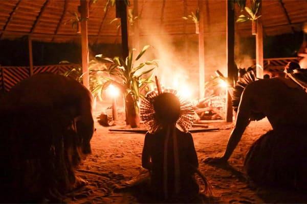 Belle Amazon - Deep Immersion