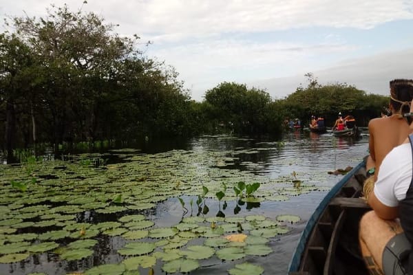 Belle Amazon - Deep Immersion