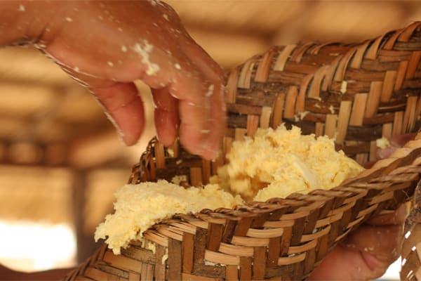 Belle Amazon - Deep Immersion