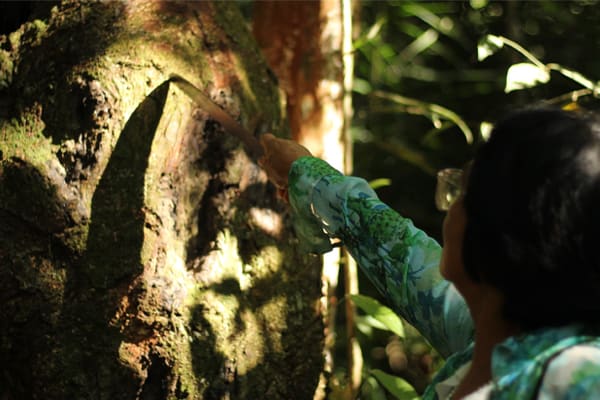 Belle Amazon - Deep Immersion