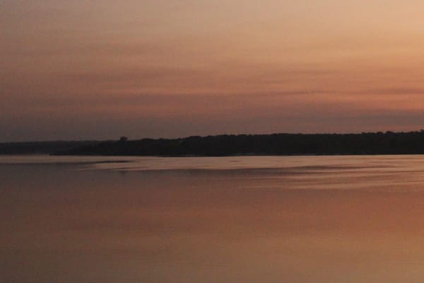 Belle Amazon - Essential Encounter