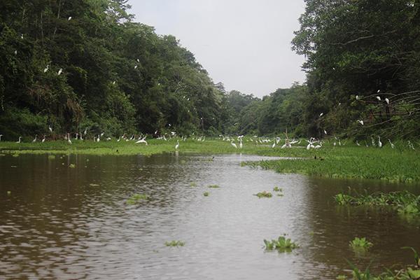 Agua Marina’s 4-Day Itinerary Day Four - Disembarkation.