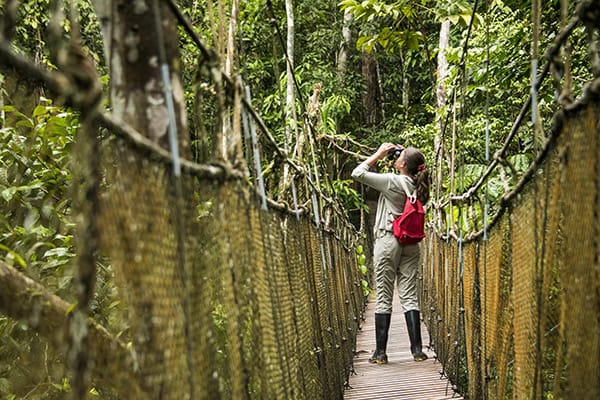 Zafiro’s 8-Day Itinerary Day Two - Canopy walk with wildlife.
