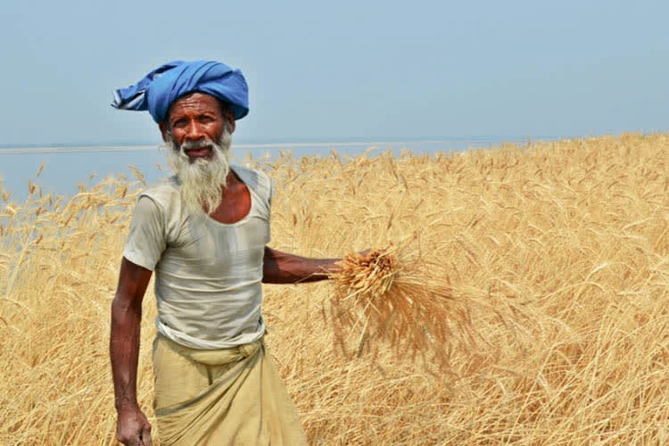 Charaidew II - Brahmaputra Maximum - Day 11