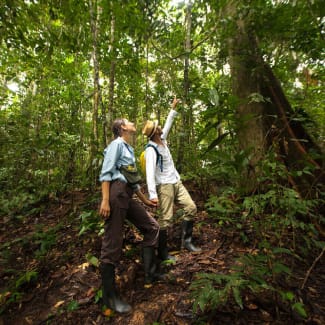 People watching wildlife in the Amazon Rainforest