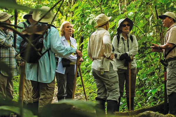 Delfin II - Upper Amazon