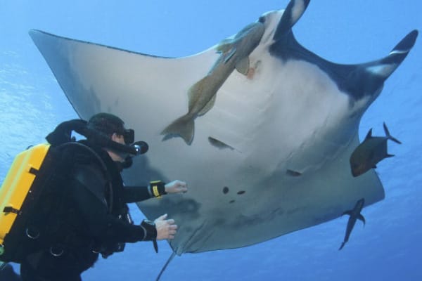 Diver II - Diving Itinerary