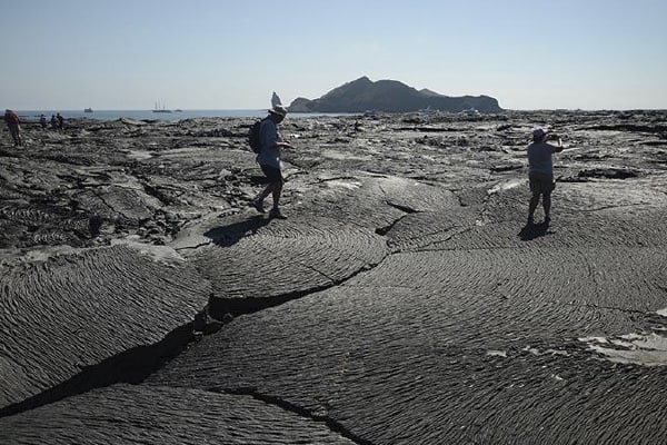 Diver II - Naturalist Itinerary