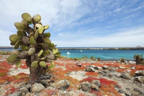 Diver II - Naturalist Itinerary