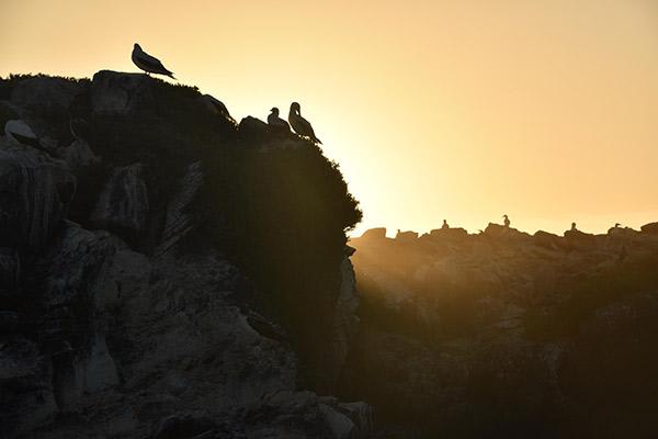 Ocean Spray's 8-Day Itinerary 'A' Day Seven - Española Island Sunset.