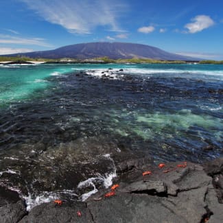 Landscape with sea and the island
