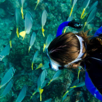 W woman snorkelling looking at fish