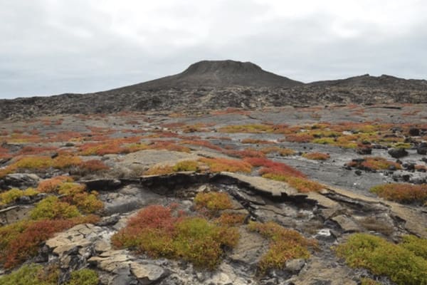 Galapagos Explorer - West