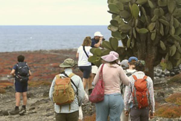 Galaxy - Eastern & Central Islands 'C'