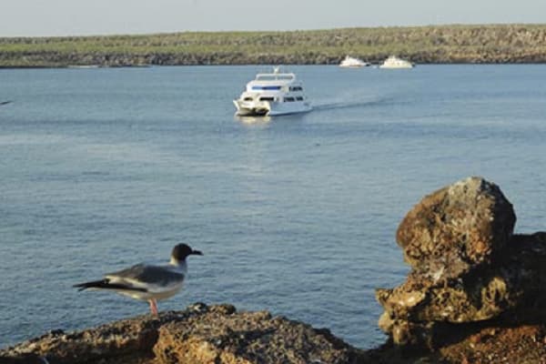 Galaxy Diver - Long Naturalist Cruise