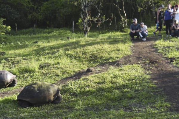 Galaxy Diver - Naturalist Cruise