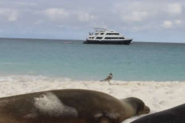 Galaxy Orion - Naturalist Itinerary