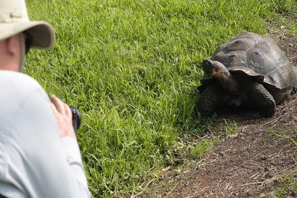 Alya's 6-Day Itinerary B Day Two - Giant Tortoises.