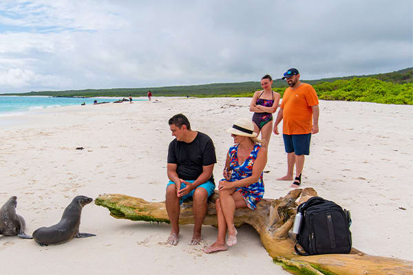 Hermes - Southern Islands