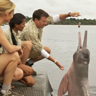 People feeding a pink dolphin