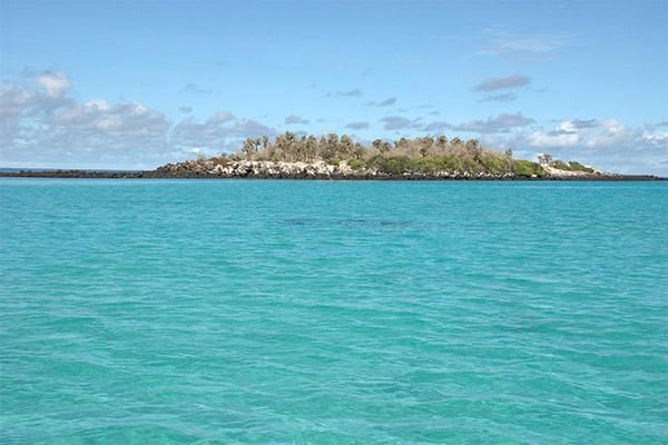 Endemic’s 8-Day 'A' Itinerary Day Four -  Isabela Island.