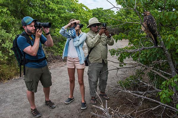 Endemic’s 6-Day 'F' Itinerary Day Two - Isabela Island.