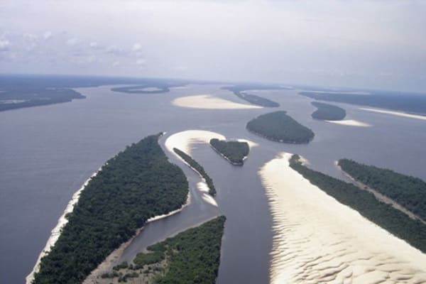 Jacaré Açu - Jau National Park Plus