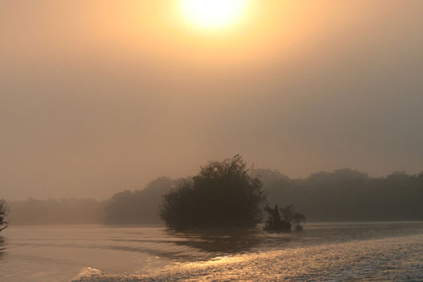 Jacaré-Tinga - Jau National Park Plus