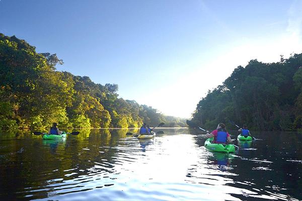 Tucano's 7-Day Cruise Itinerary Day Two - Kayaking in the Amazon Rainforest.
