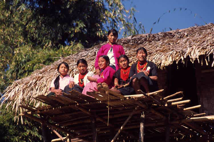 Kindat Pandaw - Nagaland's Hornbill Festival & Brahmaputra Expedition - Day 12