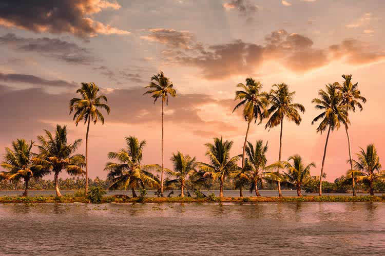 Kochi Pandaw - The Kerala Backwater - Day 4