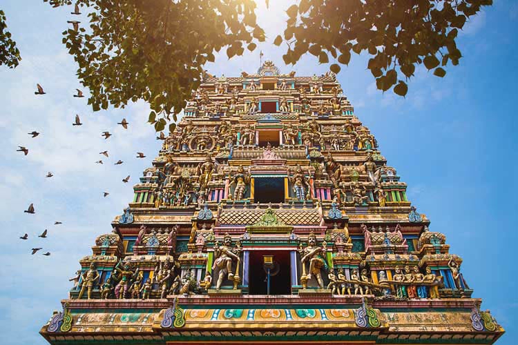 Kochi Pandaw - The Kerala Backwater - Day 8