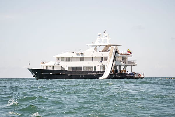 Kontiki - Island Odyssey R1