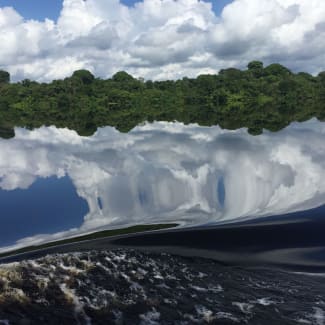 Waters of Rio Negro