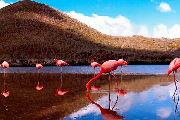 Letty Yacht - East &Central Islands