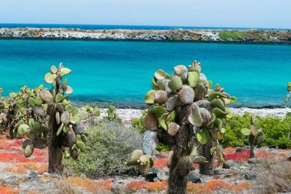 Letty Yacht - East &Central Islands